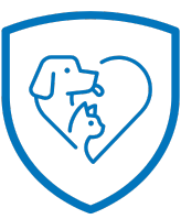 pet insurance
