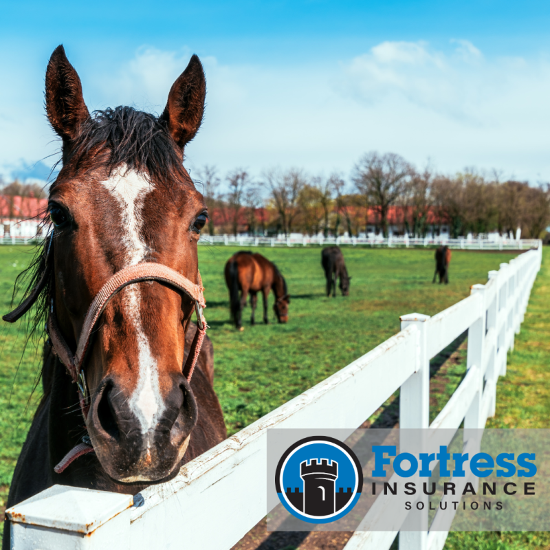 a horse standing at a white wooden rail fence